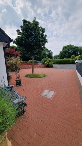 a brick walkway with a tree and benches on it at The Nook in Rostrevor
