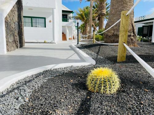 a cactus in the gravel next to a house at Casa Adelfa in Puerto del Carmen