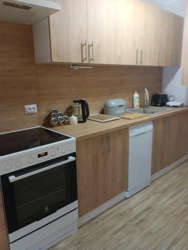 Kuchyň nebo kuchyňský kout v ubytování Apartament Osiedle Bajkowe