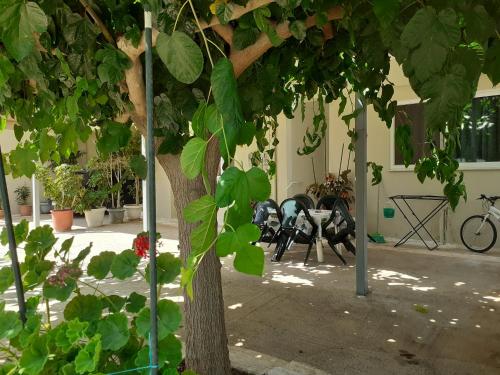 a tree with leaves on it next to a building at Vivari's Family House in Nafplio