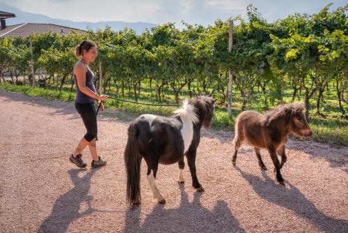 a woman walking two miniature ponies down a road at Agritur Maso Librar in Trento