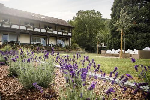 a garden in front of a building with purple flowers at Ferien Weingut Schneider in Ellenz-Poltersdorf