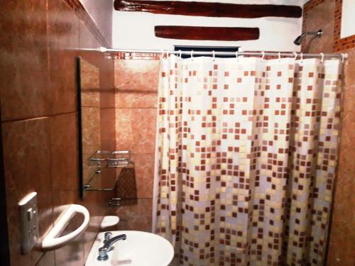 ein Bad mit einem Waschbecken und einem Duschvorhang in der Unterkunft Cabaña El Chaparral Villa Dolores, Traslasierra 1 in Piedra Pintada