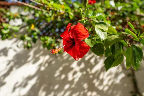 Casetta – Photos 4
