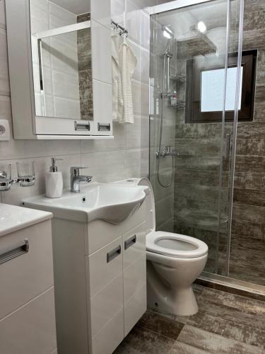 W łazience znajduje się toaleta, umywalka i prysznic. w obiekcie La Casa Garasa w mieście Čačak