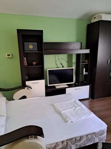 a bedroom with a bed with a tv and a tvicterictericter at Guest House Zoran in Kragujevac