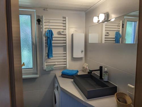 Koupelna v ubytování Boddenperle