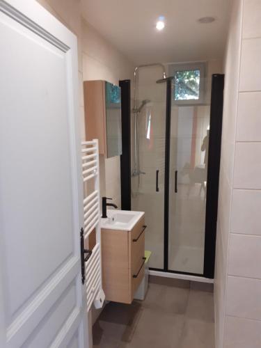 a bathroom with a sink and a shower at LA DOVA MARMOTTE in Brides-les-Bains