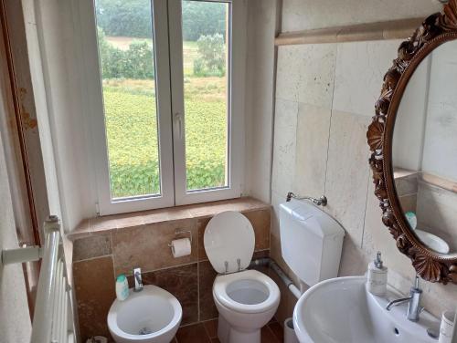 a bathroom with a toilet and a sink and a mirror at La Casa Rossa in Coiano