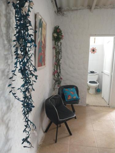 a chair in a room with a wall with vines at Cabaña El Tucan in Minca