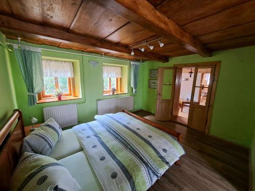 a bedroom with green walls and a couch and windows at Kamélie in Česká Kamenice