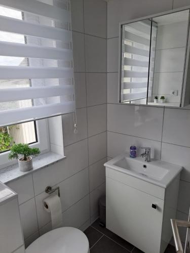 a bathroom with a toilet and a sink and a mirror at Haus Angel-am See in Heldrungen