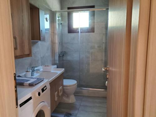 a bathroom with a sink and a toilet and a shower at Backyard Apartment in Lefkada Town