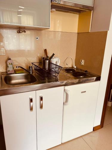 eine Küche mit einer Spüle und einer Arbeitsplatte in der Unterkunft KR Apartament in Krakau