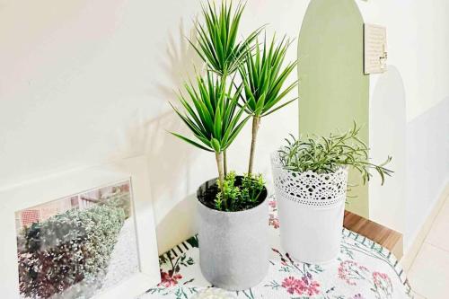 two potted plants sitting on a table in a room at 3BR 8PAX KL City Centre KLCC View Ampang Boulevard Condo in Ampang