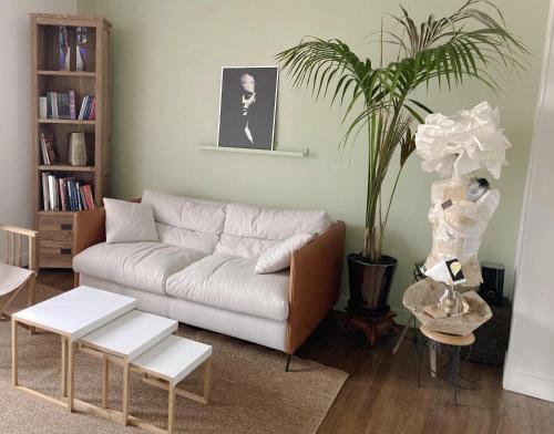 a living room with a couch and a plant at F2 cosy central I Rueil-Malmaison I La BonBonniere 92500 in Rueil-Malmaison