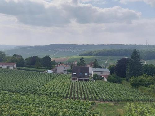 Maison au Coeur du Vignoble Champenois
