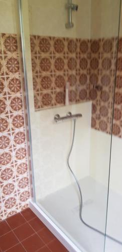 eine Dusche mit Glastür im Bad in der Unterkunft Lieu dit kerleo in Melgven