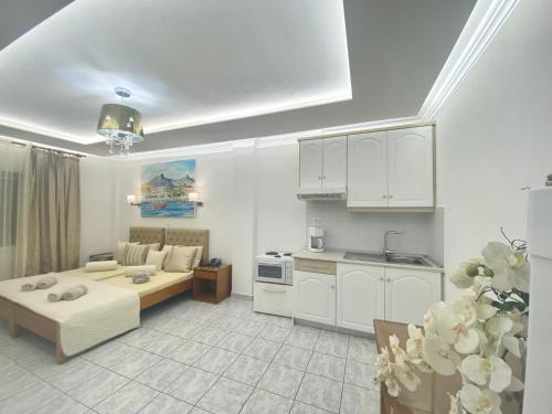 ミリナにあるHotel Sotiris Superior Apartmentsのソファとキッチンのあるリビングルーム