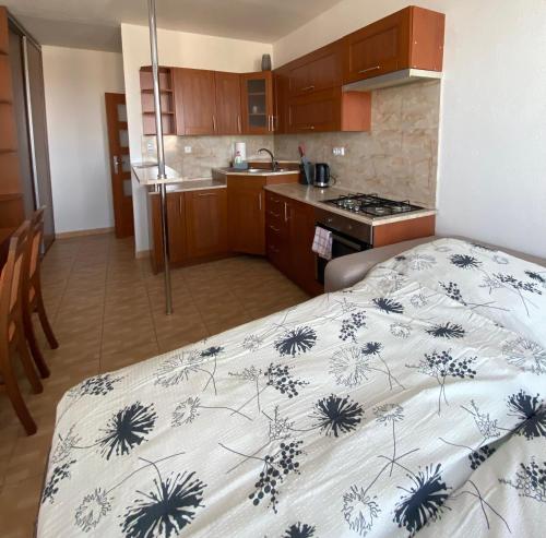 Η κουζίνα ή μικρή κουζίνα στο Apartmán Třeboň