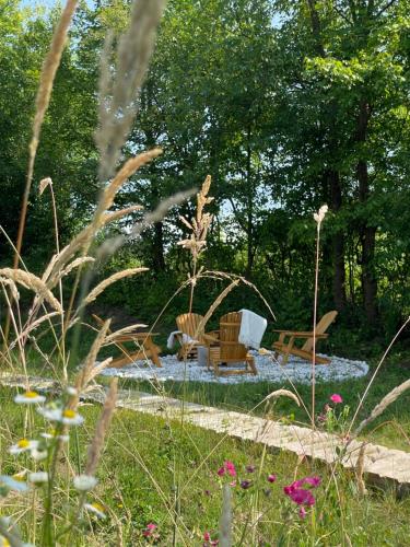 Ein Garten an der Unterkunft Cabana A-frame Cricov 9