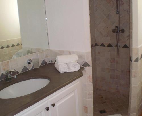 een badkamer met een wastafel en een douche bij Lagrange Vacances Carré Beauchêne in Sainte-Maxime