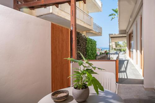 a plant sitting on a table on a balcony at Xenios Dias Luxury Apartments With Sea View in Kato Daratso