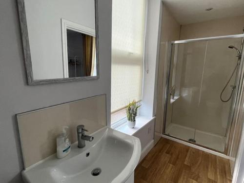 baño blanco con ducha y lavamanos en Flat 1 Petteril House, en Carlisle