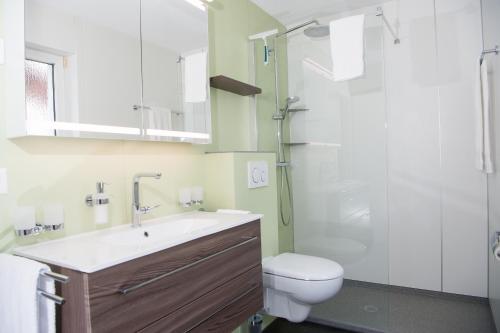 ein Bad mit einem WC, einem Waschbecken und einer Dusche in der Unterkunft Central flat for 6 persons Pianura Crapera Lenzerheide in Lenzerheide