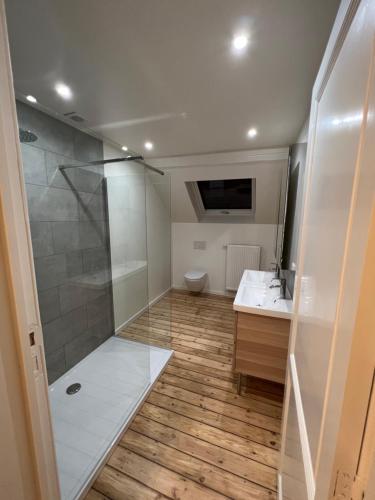 y baño con ducha, lavabo y aseo. en Cosy Nest, en Bruselas