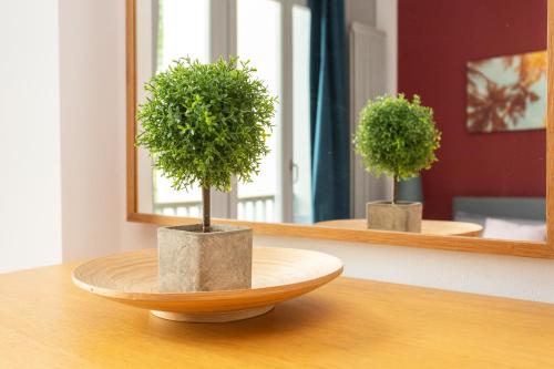 a plant in a bowl on a table in front of a mirror at FullHouse - Leipzig - M14 Apartments - Balcony - SmartTV in Leipzig