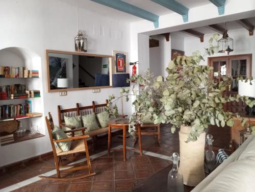 ein Wohnzimmer mit einem Tisch und einer großen Pflanze in der Unterkunft Hospederia Casa de las Piedras in Grazalema