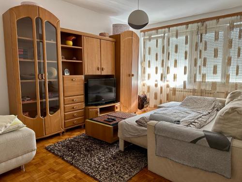 ein Wohnzimmer mit einem Bett, einem TV und einem Sofa in der Unterkunft Cosy apartment Sarajevo in Sarajevo