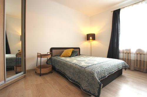 a bedroom with a bed and a large mirror at Riga Mezaparks apartment + private parking in Rīga