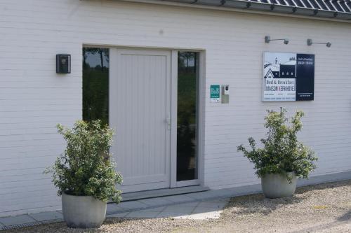 two plants in pots in front of a door at B&B Maison Kerkhove in Kerkhove