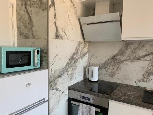 a kitchen with a refrigerator and a microwave at Apartmán Šantova in Olomouc