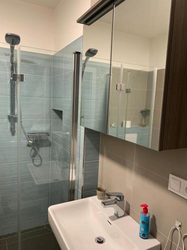 a bathroom with a sink and a glass shower at Apartmán Šantova in Olomouc
