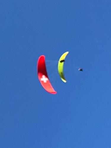 a kite and a bird flying in the sky at Wohnung mit See und Bergsicht im vier Sterne Hotel in Beatenberg