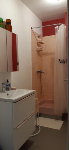 ein Bad mit einer Dusche, einem Waschbecken und einem Waschbecken in der Unterkunft TSARA HOME in Eu