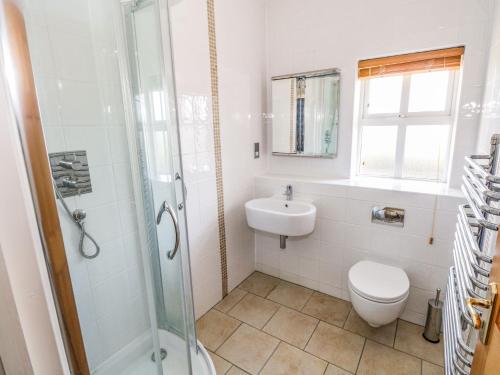 a bathroom with a toilet and a sink and a shower at Tighe Carra in Ballygarries
