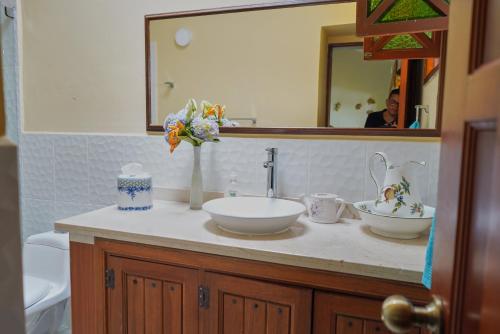 a bathroom counter with a sink and a mirror at FINCA EL PATRIARCA in Armenia