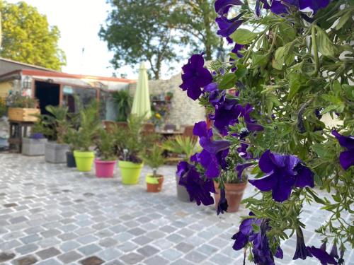 a row of purple flowers in pots on a patio at Le Relais de la Posterie in Gembloux