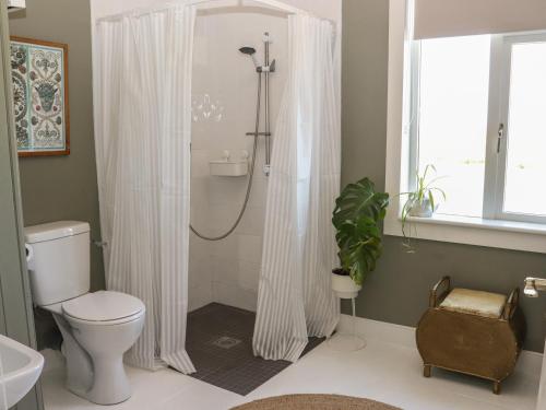 a bathroom with a shower curtain and a toilet at Kevin's Cottage in Glenawilling