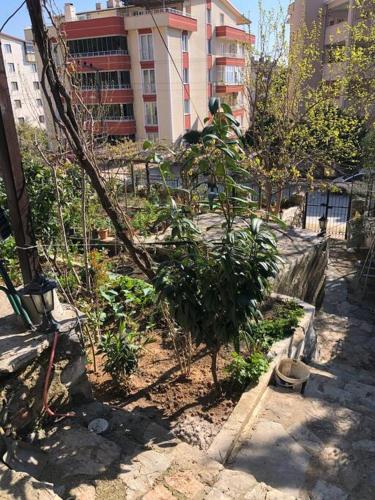 ogród z drzewami i budynek w tle w obiekcie Yazlık bahçe katı daire w mieście Armutlu