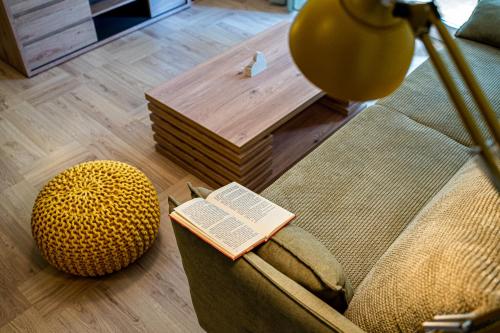 Apartman Terra centar, free parking في أوسييك: كتاب يجلس على أريكة بجوار مسند