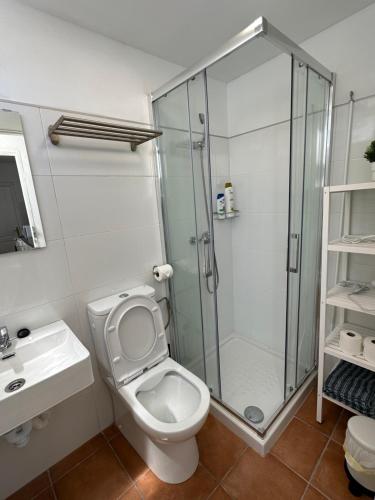a bathroom with a shower and a toilet and a sink at Apartamento Emma in Puerto del Carmen