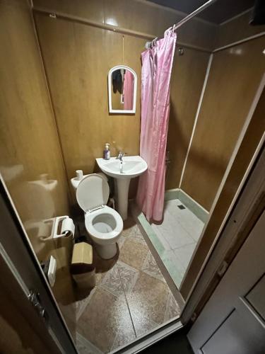 a bathroom with a toilet and a sink and a shower at Pirikiti in Akhmety