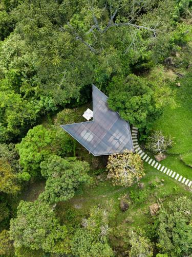 an overhead view of a walkway in a forest at Santuario Luxury Eco Hotel in Villeta