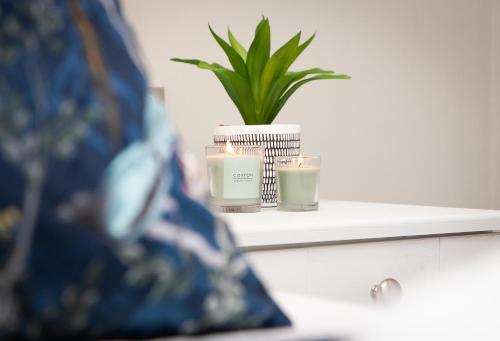 two candles on a shelf with a potted plant at 5 Star - The Ulsterville Residences - Free On-site Parking in Belfast