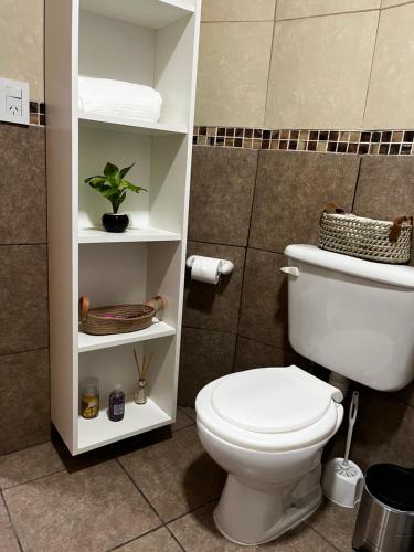 a bathroom with a toilet and a shelf with a plant at Departamento Cristo del Portezuelo II in Chilecito